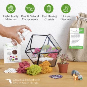 Creations by Nathalie – Premium Small DIY Succulent, Cactus, or Air Plant Terrarium Kit with Soil, Moss, Pebbles, Terrarium Tools, Amethyst Gem, Crystal Chips - Handmade in USA