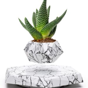 BandD Plant Pot for Succulents, air Bonsai & air Plants. Planter for Home, Office & Desk Decor. Magnetic Floating Levitating Display. (Marble)