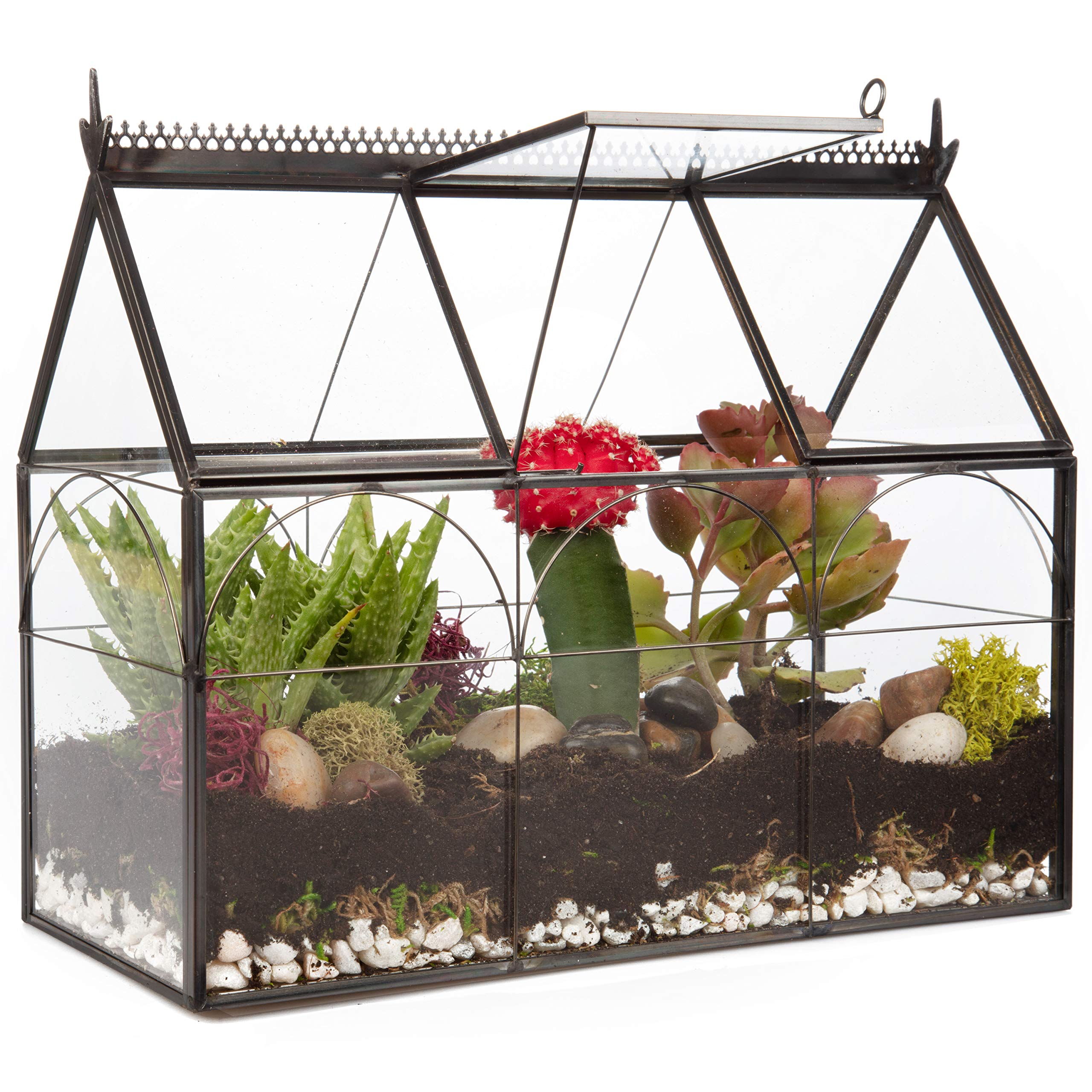 D'Eco Glass Greenhouse Plant Terrarium (10x4.5x9) - Indoor Tabletop Black Hinged Geometric Planter - Succulents, Air Plants, Moss, Fern - Home Garden Office Decor - Plant Lovers Gift (Terrarium Only)