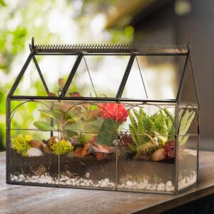 D'Eco Glass Greenhouse Plant Terrarium (10x4.5x9) - Indoor Tabletop Black Hinged Geometric Planter - Succulents, Air Plants, Moss, Fern - Home Garden Office Decor - Plant Lovers Gift (Terrarium Only)