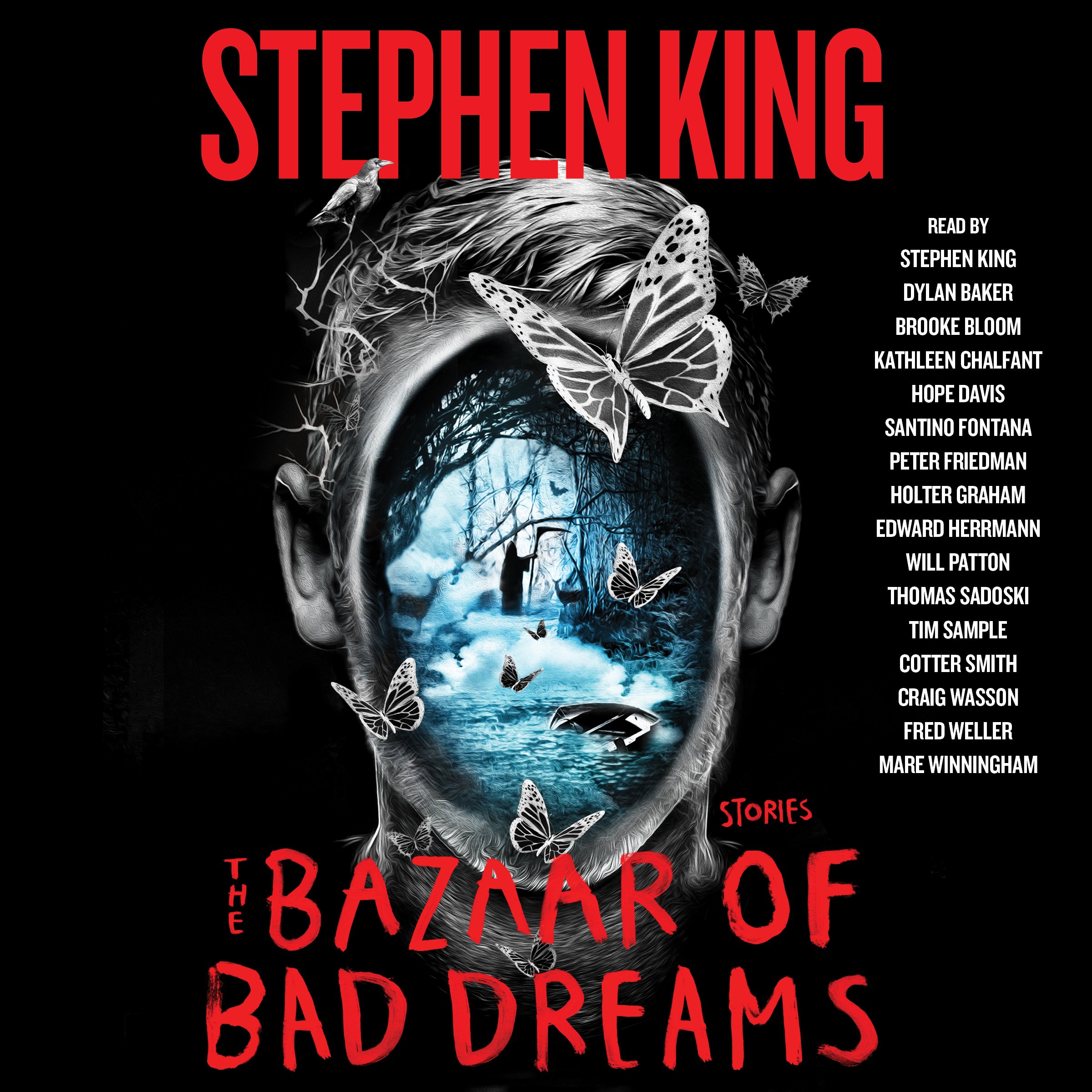 The Bazaar of Bad Dreams: Stories