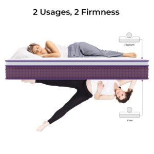 REGOSS 12 Inch Innerspring Hybrid Mattress, Motion Isolation Individually Pocketed Coils Mattress, Euro Top King Size Mattress in a Box, Plush Foam Spring Mattress for Pressure Relief, Purple