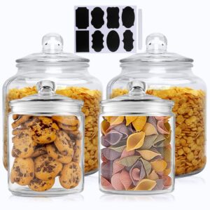 salzesfalls glass kitchen jars, food & cookie storage containers,glass canisters with airtight lid for pantry - flour, coffee, cookies, pasta, candy （set of 4）