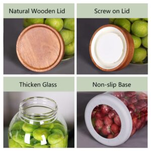 2 Pack 95 OZ Glass Jar with Screw on Lid, Large Glass Canister with Airtight Wooden Lid for Kombucha, Sun Tea, Meal Prep, Food Storage, Drinking, Overnight Oats, Dry Food, Spices, Salads, Yogurt