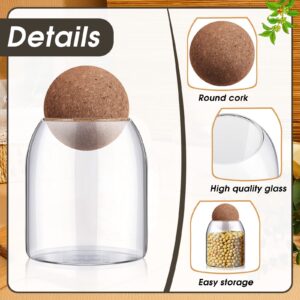 Suclain Glass Storage Containers Ball Cork Jar Glass Candy Jar 17 Oz/500ML Wood Cork Lid Small Glass Bottle Jars for Food Coffee Beans Tea Spice Salt Sugar Nut Kitchen Storage(6 Pcs)