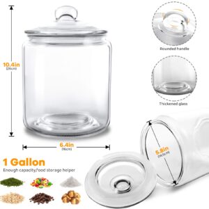 MASTERTOP Glass Jars with Lids,1 Gallon Airtight Big Glass Cookie Jar, Leak Proof Rubber Gasket Lid, Multifunctional Storage Container for Dry Food, Cookies, Snacks