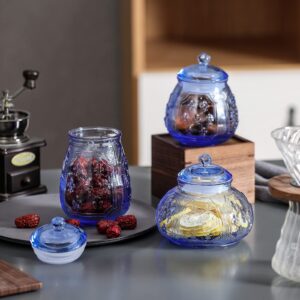 G Glass Cookie and Candy Jars With Airtight Lids For Food Storage, Household (Blue, MD 4.3 in *H 7.2 in)