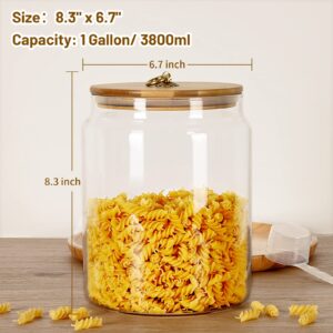 Totexil Large Glass Jars, 1 Gallon Thicken Glass Food Storage Jars with Bamboo Lids, Airtight Glass Canisters with Mental Handle, Kitchen Storage Containers for Cookie, Flour, Rice, Coffee Beans,Nuts