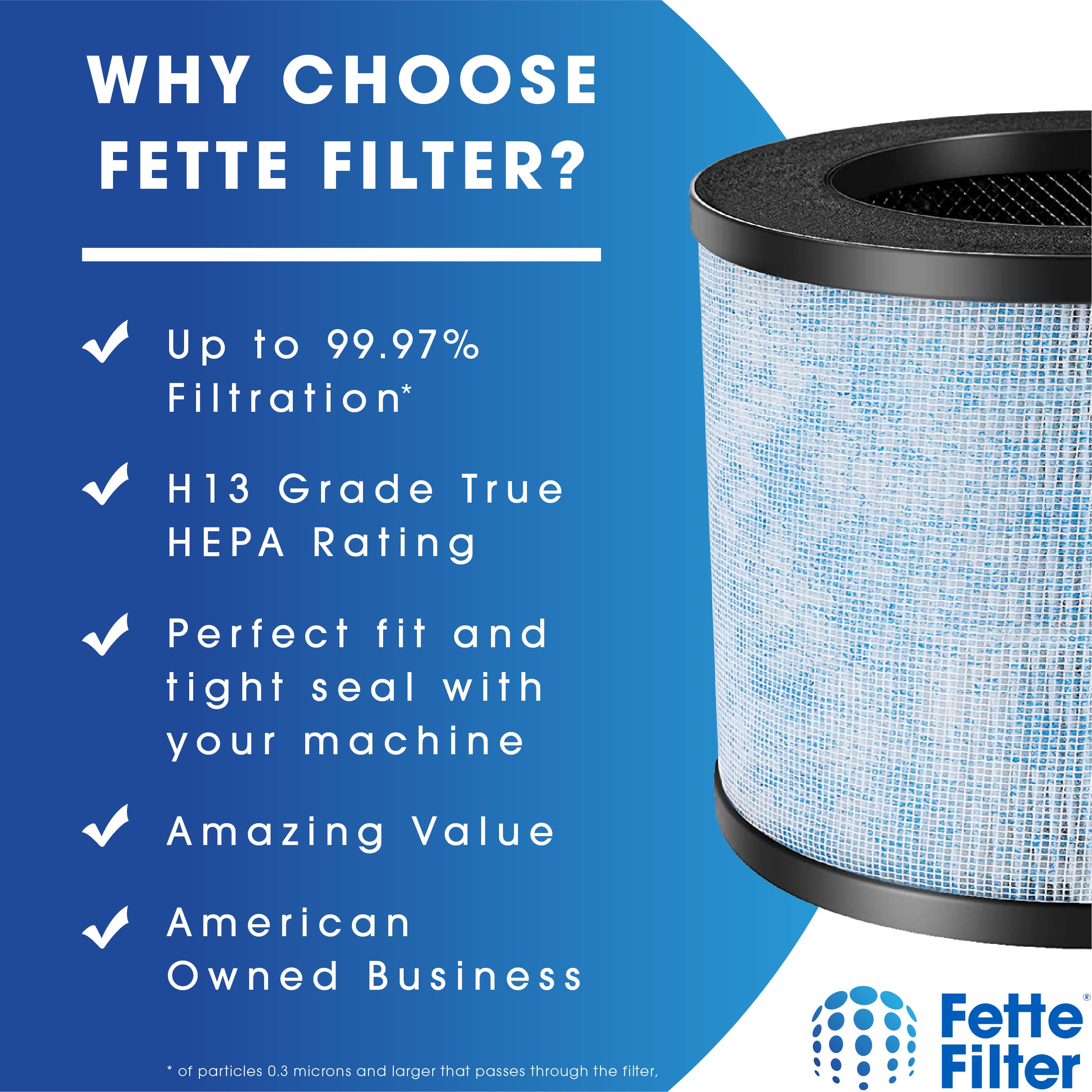 Fette Filter - F100 H13 Premium True HEPA Replacement Filter, Compatible with Instant AP100 Air Purifier, 3-in-1 H13 Grade True HEPA Filter, Part # F100, 2-Pack