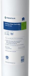 Pentair Pentek CRFC20-BB Big Blue Carbon Water Filter, 20-Inch, Whole House Chloramine Reduction Carbon Replacement Cartridge, 20" x 4.5", 25 Micron