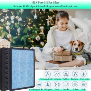 Nyingchi AP1002 Replacement Filter,Compatible with AIRTOK® AP1002 and Pure Morning APH230C Air Purifier, H13 True HEPA 3 in 1 Filter,2-Pack