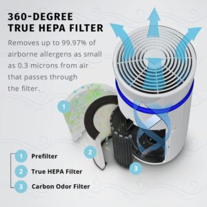 HoMedics TotalClean 3-in-1 True HEPA Filter Replacement Bundle for Air Purifiers