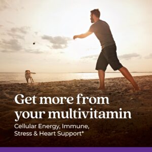 New Chapter Men's Multivitamin for Immune, Stress, Heart + Energy Support with Fermented Nutrients - Every Man's One Daily, Made with Organic Vegetables & Herbs, Non-GMO, Gluten Free - 96 ct