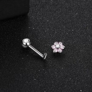 Xpircn 14G G23 Titanium Christina Piercings Barbell VCH Bar Genital Jewellery Curved Barbell Piercing Jewelry (Pink)