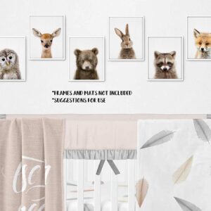 EPHANY Baby Animal Posters and Prints ART - Rabbite Deer Fox Canvas Painting Nursery Pig Wall Art, Piglet Print Wall Art Nordic Picture Kids Room Decoration YMX014 (8"x10"(20x25cm))