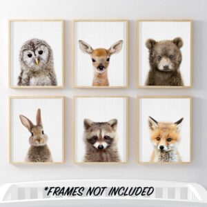 EPHANY Baby Animal Posters and Prints ART - Rabbite Deer Fox Canvas Painting Nursery Pig Wall Art, Piglet Print Wall Art Nordic Picture Kids Room Decoration YMX014 (8"x10"(20x25cm))