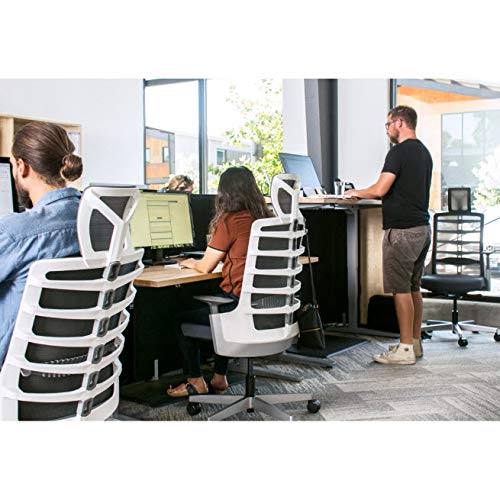 Vert Ergonomic Office Chair (White) by Uplift Desk