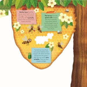 Discovering the Busy World of the Beehive (Happy Fox Books) Board Book Teaches Kids Ages 3-6 about Bees, Exploring a Hive with Each Page, plus Educational Facts and Vocabulary Words (Peek Inside)