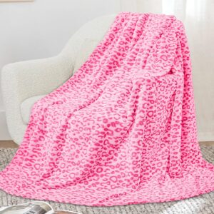 Warm Blanket Pink Soft Fleece Blankets Fuzzy Small Throw Blankets for Kids Girls Toddlers