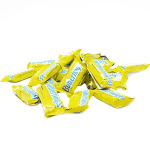 Butterfinger Fun Sized Chocolate Bars | 1 LB Resealable Stand Up Candy Bag | Crunchy Chocolate and Peanut Butter Candy Bars | Bulk Chocolate Candy