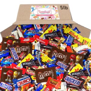 5 lb assorted bulk chocolate candy mix - fun size, holiday, office assortment