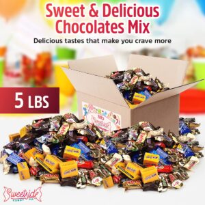 5 Lb Assorted Bulk Chocolate Candy Mix - Fun Size, Holiday, Office Assortment