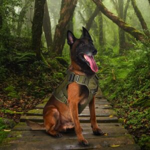 ELFTREE Tactical Dog Harness, 2X Metal Buckle, Military Reflective Dog Harness with Hidden Airtag Holder and Handle, Adjustable No-Pull Service Dog Vest with Molle & Loop Panels