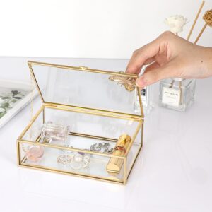 Hipiwe Vintage Glass Photo Box Rectangle Butterfly Jewelry Display Box Card Storage Organizer Vanity Lidded Trinket Box Home Decor Accent Decorative Keepsake Box (5 * 7 inch)