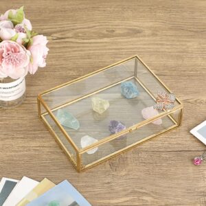 Hipiwe Vintage Glass Photo Box Rectangle Butterfly Jewelry Display Box Card Storage Organizer Vanity Lidded Trinket Box Home Decor Accent Decorative Keepsake Box (5 * 7 inch)