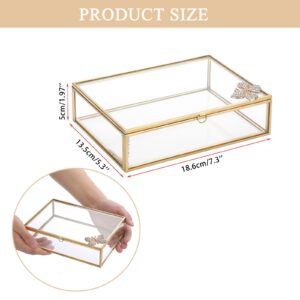 Hipiwe Vintage Glass Photo Box Rectangle Butterfly Jewelry Display Box Card Storage Organizer Vanity Lidded Trinket Box Home Decor Accent Decorative Keepsake Box (5 * 7 inch)