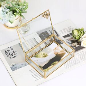 Hipiwe Vintage Glass Photo Box Rectangle Butterfly Jewelry Display Box Card Storage Organizer Vanity Lidded Trinket Box Home Decor Accent Decorative Keepsake Box (5 * 7 inch)