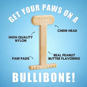 Bullibone Nylon Dog Chew Toy Nylon Bone - Improves Dental Hygiene, Easy to Grip Bottom, and Permeated with Flavor (Peanut Butter, Small - Single)