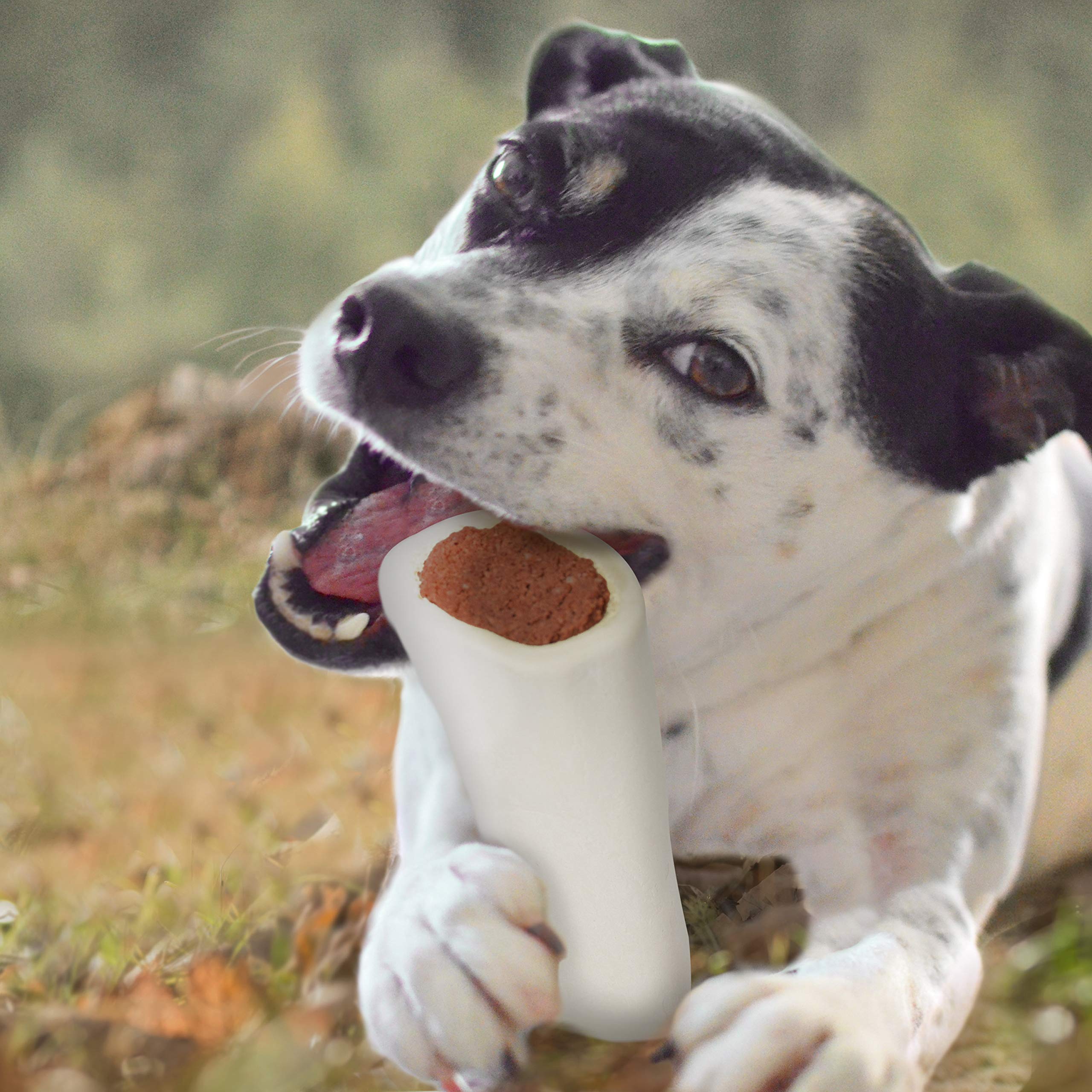 Cadet Stuffed Shin Bone - Highly Digestible, High Protein, Long-Lasting Dog Chew Bone for Aggressive Chewers, Supports Dental Health, - Chicken Flavor, Large (1 Count)