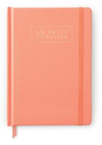 designworks ink le petit hard cover journal with elastic closure, apricot