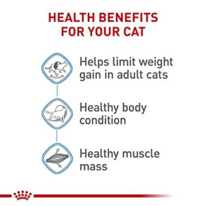 Royal Canin Feline Care Nutrition Weight Care Adult Dry Cat Food, 3 Lb Bag