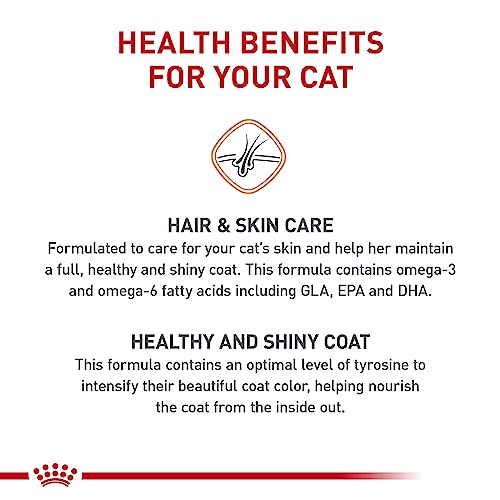 Royal Canin Hair & Skin Care Dry Cat Food, 6 lb bag