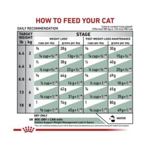 Royal Canin Veterinary Diet Feline Satiety Support Weight Management Dry Cat Food, 12 oz