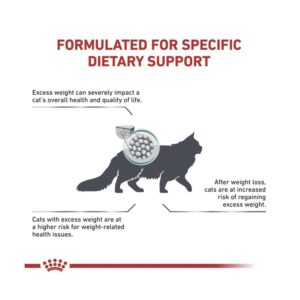 Royal Canin Veterinary Diet Feline Satiety Support Weight Management Dry Cat Food, 12 oz