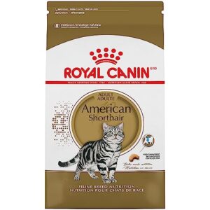 Royal Canin American Shorthair Breed Adult Dry Cat Food, 5.5 lb bag