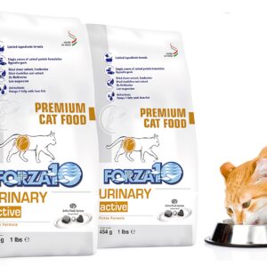 Forza10 Active Dry Cat Food Urinary Tract Health, Fish Flavor Urinary Tract Cat Food, Adult Cats Urinary Cat Food, 2 Pound Bag Urinary Tract Cat Food Dry