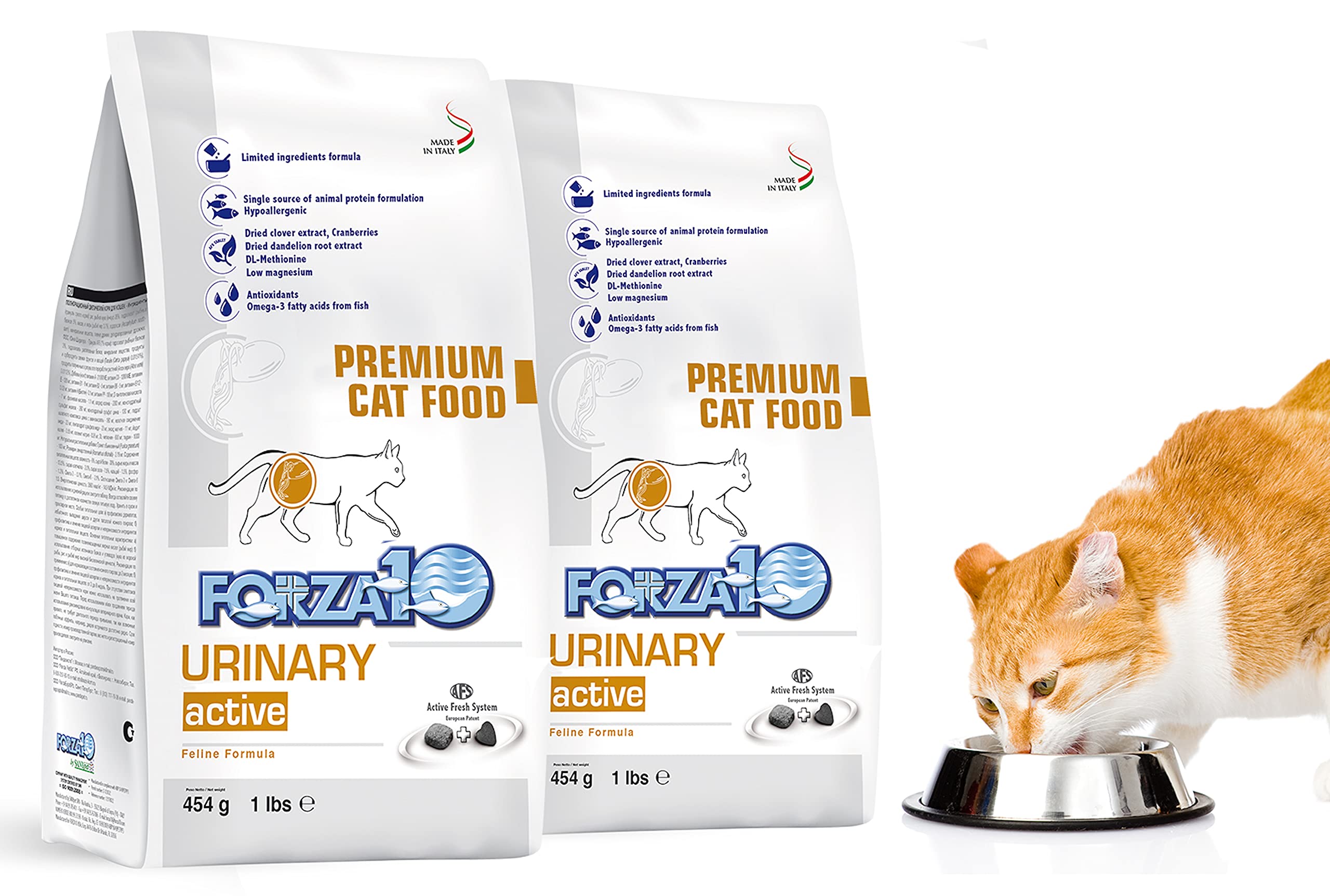 Forza10 Active Dry Cat Food Urinary Tract Health, Fish Flavor Urinary Tract Cat Food, Adult Cats Urinary Cat Food, 2 Pound Bag Urinary Tract Cat Food Dry