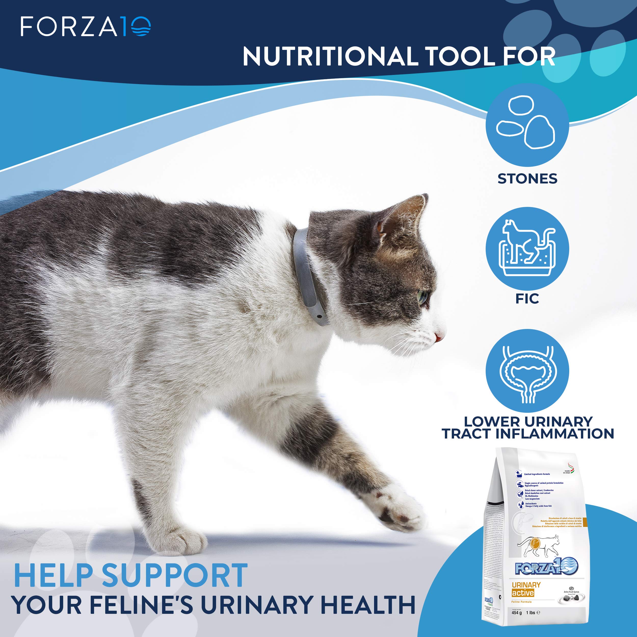 Forza10 Active Dry Cat Food Urinary Tract Health, Fish Flavor Urinary Tract Cat Food, Adult Cats Urinary Cat Food, 2 Pound Bag Urinary Tract Cat Food Dry