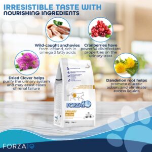 Forza10 Active Dry Cat Food Urinary Tract Health, Fish Flavor Urinary Tract Cat Food, Adult Cats Urinary Cat Food, 2 Pound Bag Urinary Tract Cat Food Dry