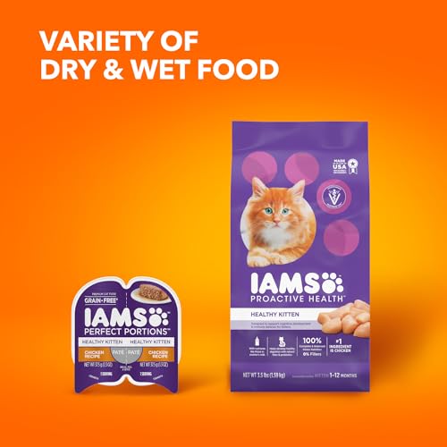 IAMS PROACTIVE HEALTH Healthy Kitten Dry Cat Food with Chicken, 7 lb. Bag