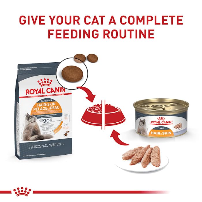 Royal Canin Hair & Skin Care Dry Cat Food, 6 lbs.