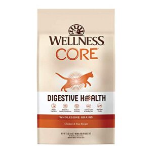 Wellness CORE Digestive Health Wholesome Grains Probiotic Coated High Protein Dry Cat Food, Chicken & Rice Dry Cat Food, 11 Pound Bag