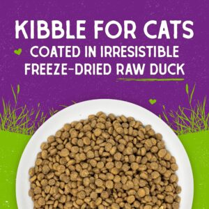 Stella & Chewy's Raw Coated Premium Kibble Cat Food – Grain Free, Protein Rich Meals – Cage-Free Duck Recipe – 5 lb. Bag