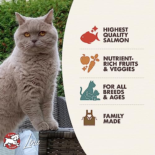 Fromm Four-Star Nutritionals, Grain-Free Salmon Tunachovy Dry Cat Food, 4lb