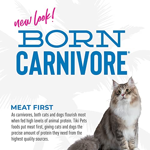 Tiki Cat Born Carnivore High Protein, Herring & Salmon Meal, Grain-Free Baked Kibble to Maximize Nutrients, Dry Cat Food, 11.1 lbs. Bag