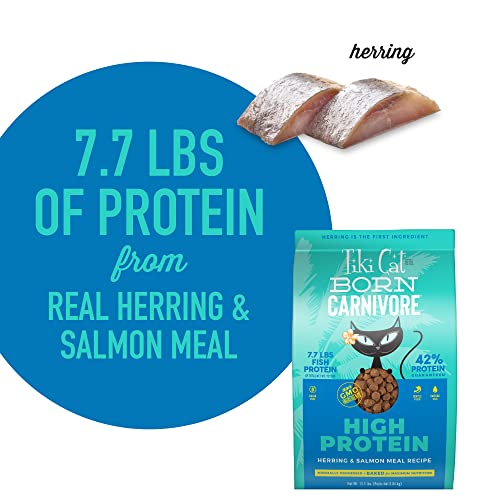 Tiki Cat Born Carnivore High Protein, Herring & Salmon Meal, Grain-Free Baked Kibble to Maximize Nutrients, Dry Cat Food, 11.1 lbs. Bag